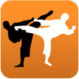 Icono de programa: Karate in brief