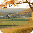 Icon of program: Ohio Local News