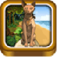 884 Java Island Escape icon