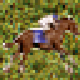Icon of program: Horse Racing Track