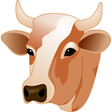 Icono de programa: Qurbani Cattle Weight Mea…