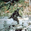 Icon of program: Bigfoot Camera Prank : GO…