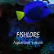 Icon of program: Fishlore Aquarium Fish Fo…