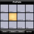Icon of program: ProPads