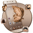 Icono de programa: Gold Silk Butterfly Theme