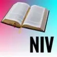 Icon of program: NIV Holy Bible for Window…