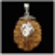Icon of program: Rudraksha And Astrologica…