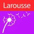 Icon of program: Larousse Dictionary of Bi…