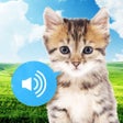 Icon of program: Animal sounds Free (image…