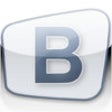 Icon of program: BeamYourScreen
