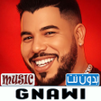 Icon of program: كناوي بدون نت 2026  GNAWI