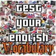 Icon of program: Test Your English Vocabul…