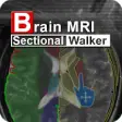 Icon of program: Brain MRI Sectional Wlker