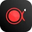 Icon of program: ApowerREC