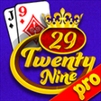 Icono de programa: 29 Card Game Pro for Wind…