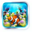 Icon of program: Clownfish Aquarium Live W…