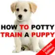 Icon of program: How To Potty Training A P…
