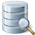 Icon of program: DbVisualizer Portable