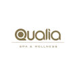 Qualia icon