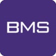 Icon of program: BMS Token