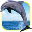 Icon of program: Ocean blue dolphins puzzl…