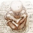 Icon of program: Ovulation