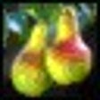 Icon of program: Grey Olltwit's Picture Pa…