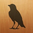Icon of program: Blackbird
