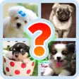 Icon of program: Dog Breed Quiz Game (Dog …