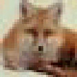 Icono de programa: XMLFox