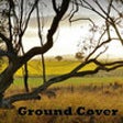 Icon of program: Ground Cover