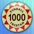 Icon of program: Pinball Tristan