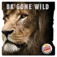 Icon of program: BK Gone Wild