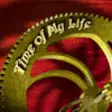 Icon of program: Time of My Life