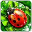 Icon of program: Bug Match!