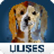 Icon of program: Osteology in Dogs (Licens…