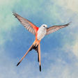 Icon of program: Wingspan: The Board Game