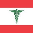 Icon of program: Lebanon Emergency & Hospi…