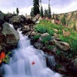 Icono de programa: Bewitching Cascades