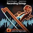 Icon of program: Art of Audio Recording - …
