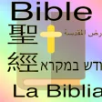 Icon of program: world bible (Christian)