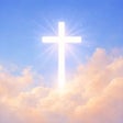 Icon of program: BibleCare: Bible Verses W…