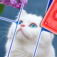 Icono de programa: Solitaire Drop: Jigsaw Ga…