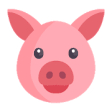 Icon of program: Piggy Rewards