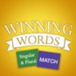 Icon of program: Singular and Plural Match