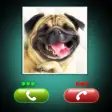 Icon of program: Fake Call Dog Prank