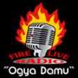 Icon of program: Fire Live Radio