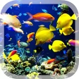 Icon of program: 3D Real Aquarium Live Wal…