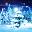 Icono de programa: Winter Forest Live Wallpa…