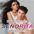 Icono de programa: Shawn Mendes - Senorita